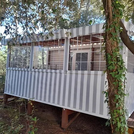 Mobilhome Campsite *